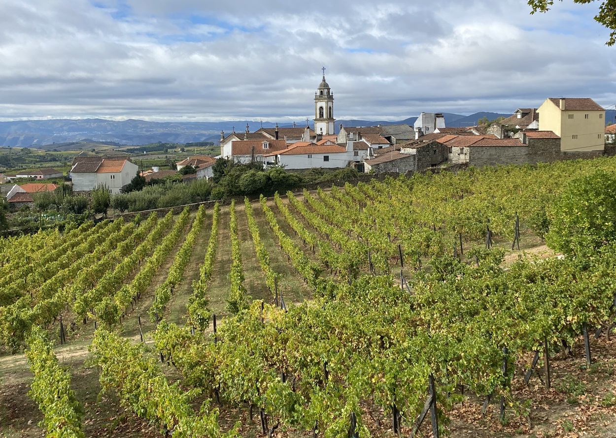 Caminhadas no Porto, Vale do Douro e Vale do Côa