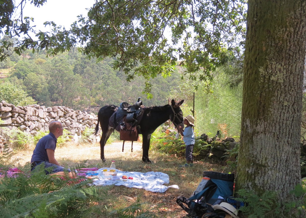 Eseltrekking Nationalpark Peneda Gerês, Portugal