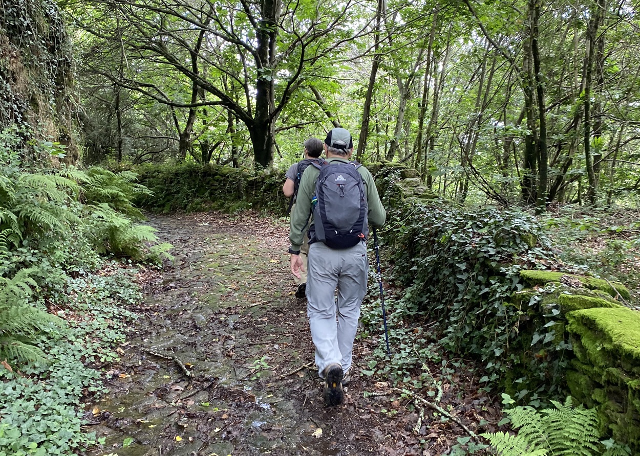 Wassermühlen von Montaria