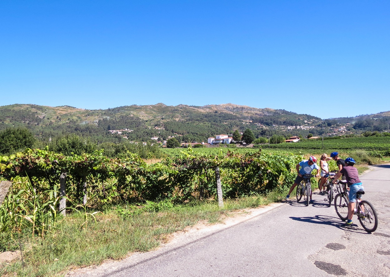 Radreisen Monção Portugal, Radtouren des Grünen Weins Alvarinho